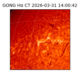 gong - 2026-03-31T14:00:42