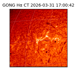 gong - 2026-03-31T17:00:42