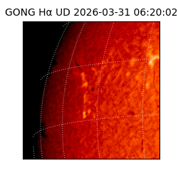 gong - 2026-03-31T06:20:02