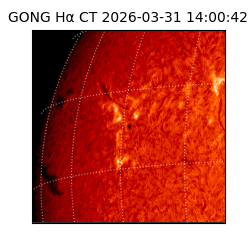 gong - 2026-03-31T14:00:42