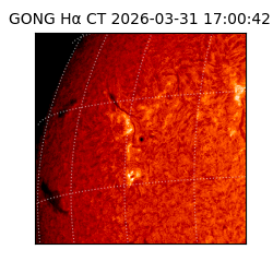 gong - 2026-03-31T17:00:42