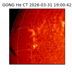 gong - 2026-03-31T19:00:42