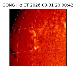 gong - 2026-03-31T20:00:42