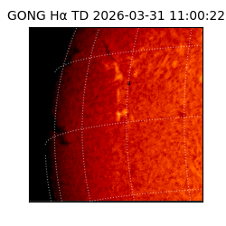 gong - 2026-03-31T11:00:22