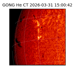 gong - 2026-03-31T15:00:42