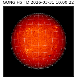 gong - 2026-03-31T10:00:22