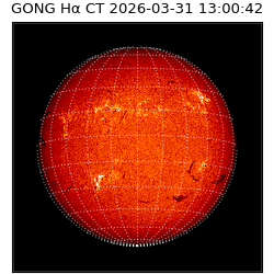 gong - 2026-03-31T13:00:42
