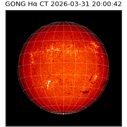 gong - 2026-03-31T20:00:42