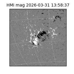 shmi - 2026-03-31T13:58:37.500000