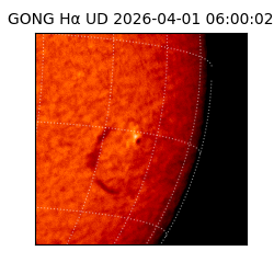 gong - 2026-04-01T06:00:02
