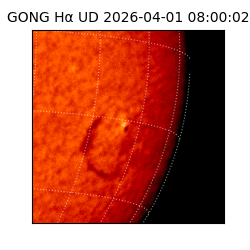 gong - 2026-04-01T08:00:02