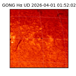 gong - 2026-04-01T01:52:02