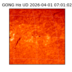gong - 2026-04-01T07:01:02