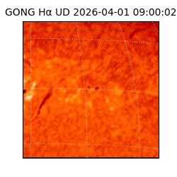 gong - 2026-04-01T09:00:02