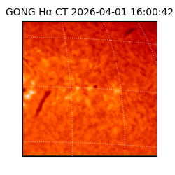 gong - 2026-04-01T16:00:42