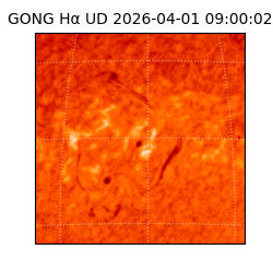 gong - 2026-04-01T09:00:02