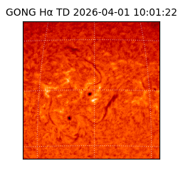 gong - 2026-04-01T10:01:22