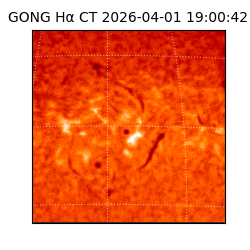 gong - 2026-04-01T19:00:42