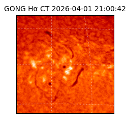 gong - 2026-04-01T21:00:42