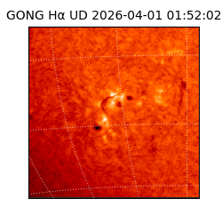 gong - 2026-04-01T01:52:02