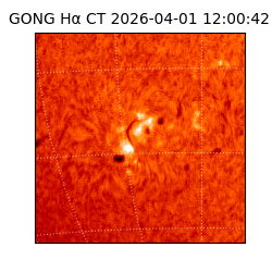 gong - 2026-04-01T12:00:42