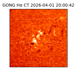 gong - 2026-04-01T20:00:42