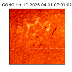 gong - 2026-04-01T07:01:02