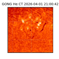 gong - 2026-04-01T21:00:42