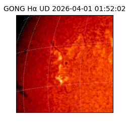 gong - 2026-04-01T01:52:02