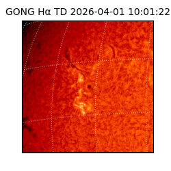 gong - 2026-04-01T10:01:22