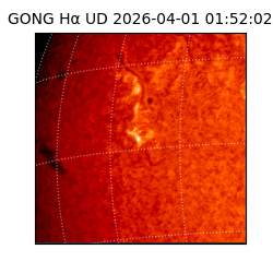 gong - 2026-04-01T01:52:02