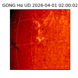 gong - 2026-04-01T02:00:02