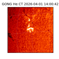 gong - 2026-04-01T14:00:42