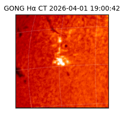 gong - 2026-04-01T19:00:42