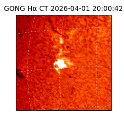 gong - 2026-04-01T20:00:42