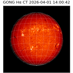 gong - 2026-04-01T14:00:42