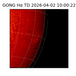 gong - 2026-04-02T10:00:22