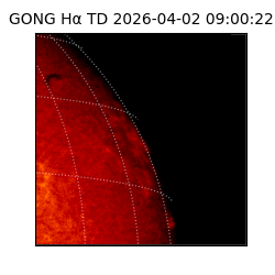 gong - 2026-04-02T09:00:22