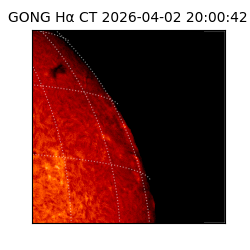 gong - 2026-04-02T20:00:42