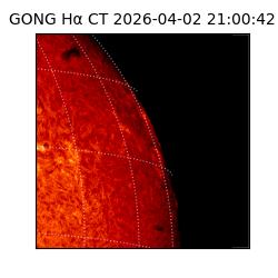 gong - 2026-04-02T21:00:42