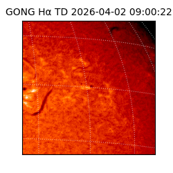 gong - 2026-04-02T09:00:22