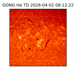 gong - 2026-04-02T08:12:22