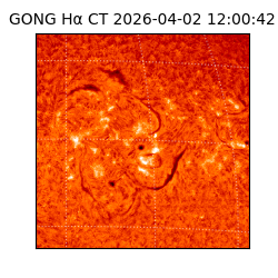 gong - 2026-04-02T12:00:42