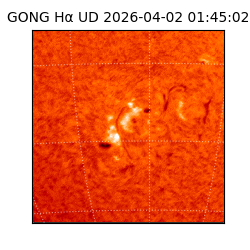 gong - 2026-04-02T01:45:02