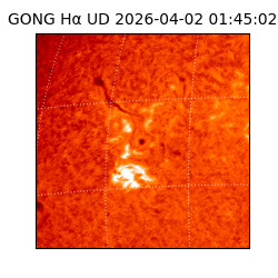 gong - 2026-04-02T01:45:02