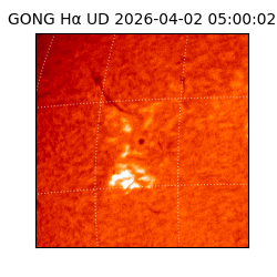 gong - 2026-04-02T05:00:02