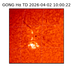 gong - 2026-04-02T10:00:22