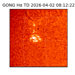 gong - 2026-04-02T08:12:22