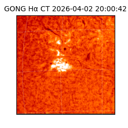 gong - 2026-04-02T20:00:42