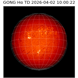 gong - 2026-04-02T10:00:22